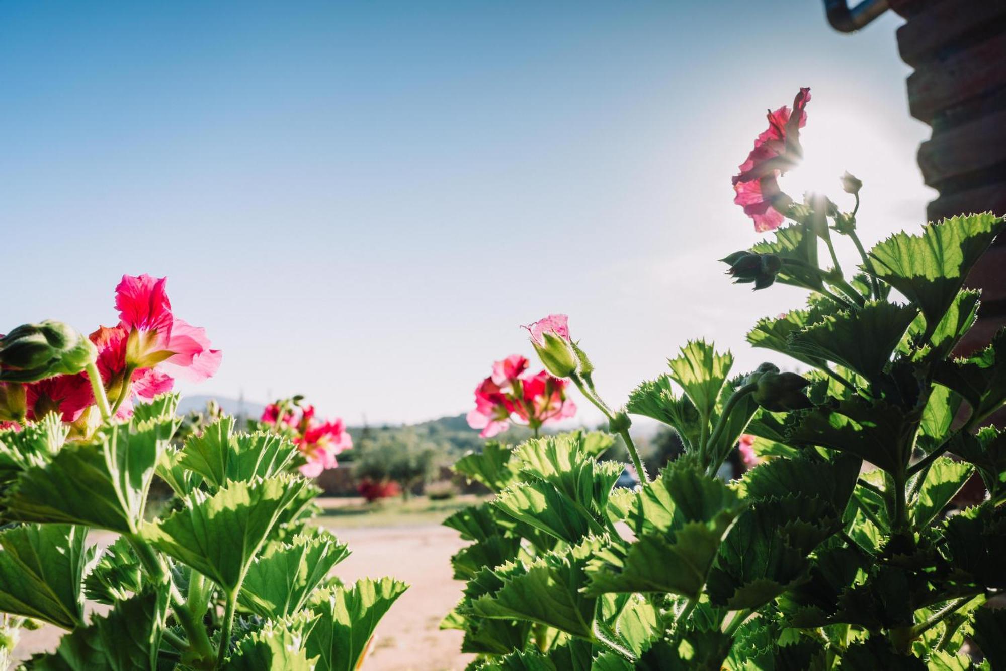 Quinta Sofia Valle De Guadalupe (Adults Only) Экстерьер фото